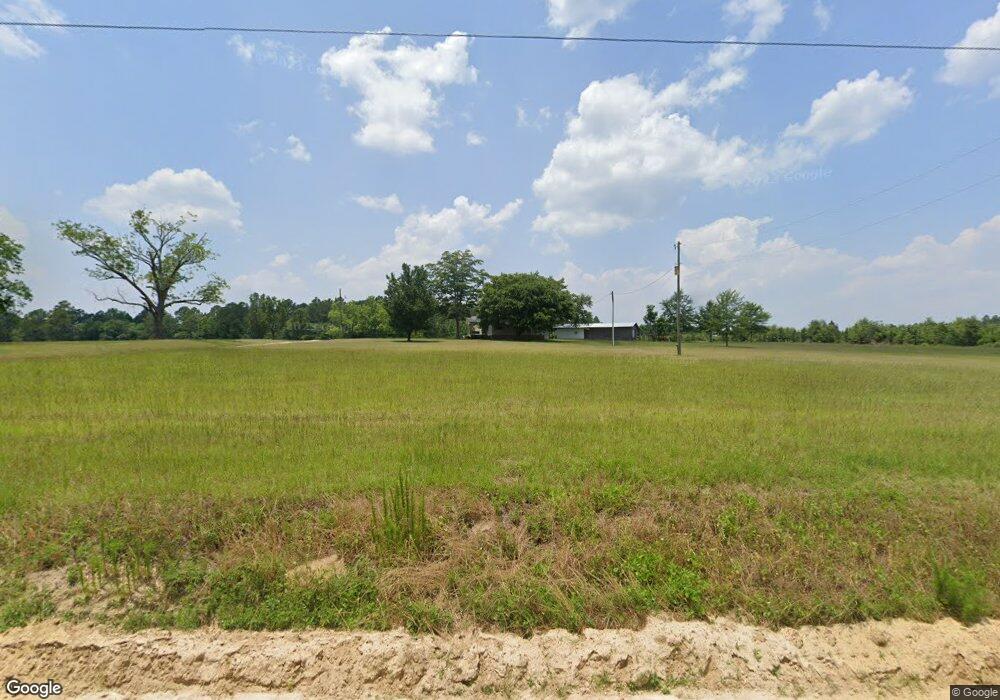 3819 William Dennis Rd, Chauncey, GA 31011 - photo 1