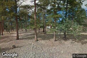 13449 S Mohawk St, Pine, CO 80470