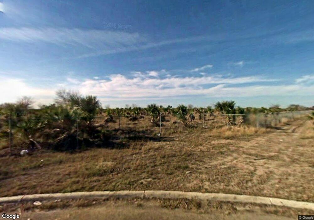 810 El Gato Rd, Alamo, TX 78516 - photo 1