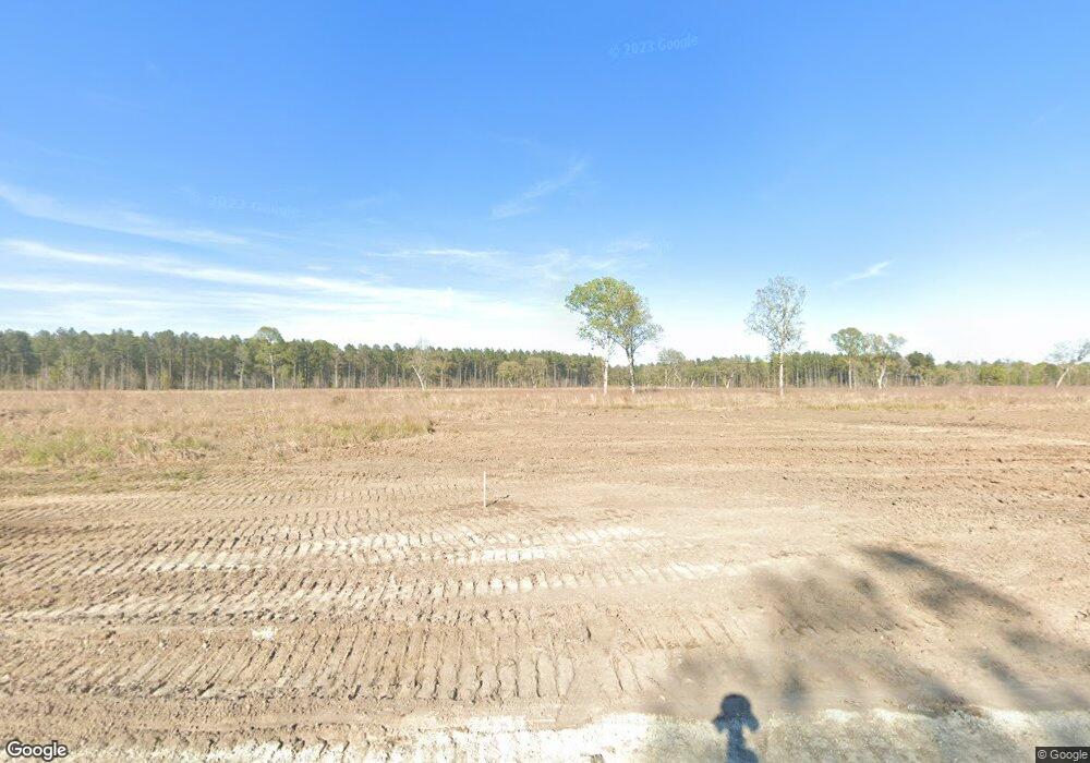 1441 Clay Field Trail, Summerville, SC 29485 - photo 1