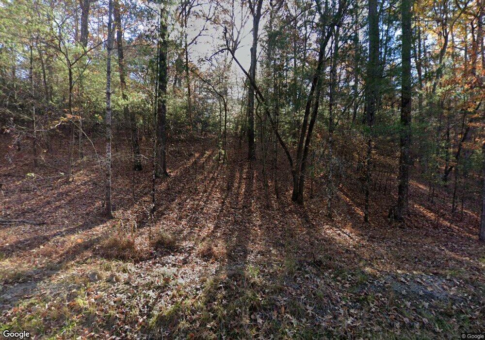 269 Fish Trap Trail, Mineral Bluff, GA 30559 - photo 1