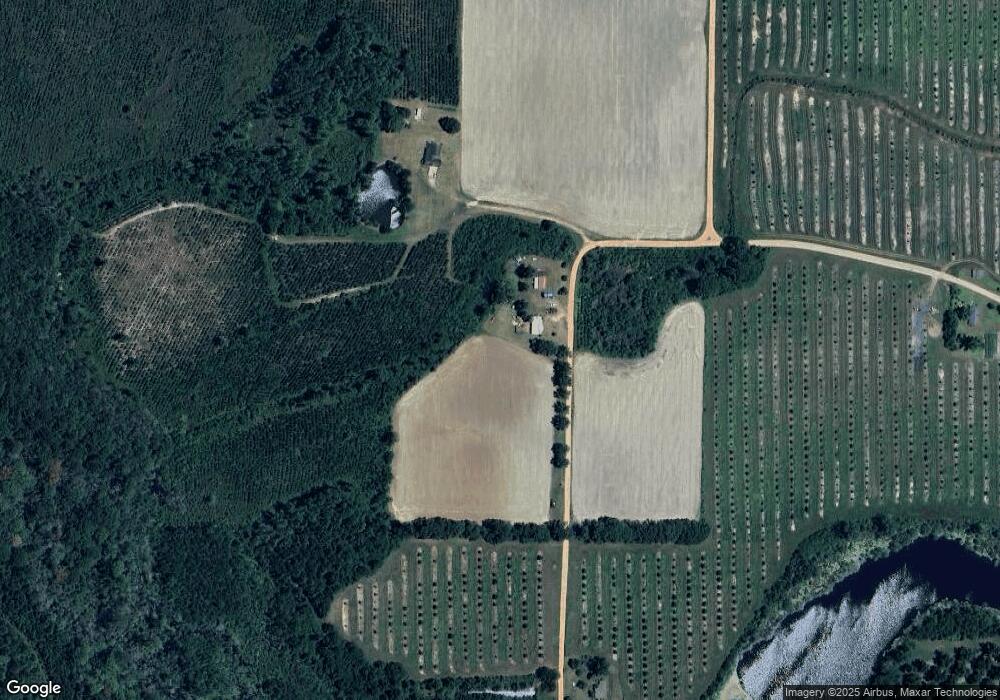 236 Quart Douglas Rd, Alma, GA 31510 - photo 1