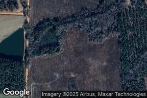 1073 Bethany Church Rd, Ambrose, GA 31512
