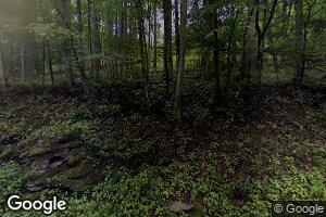 38 Longbeard Ln, Roaring Branch, PA 17765