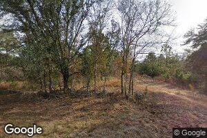 16557 Ga Highway 200, Damascus, GA 39841