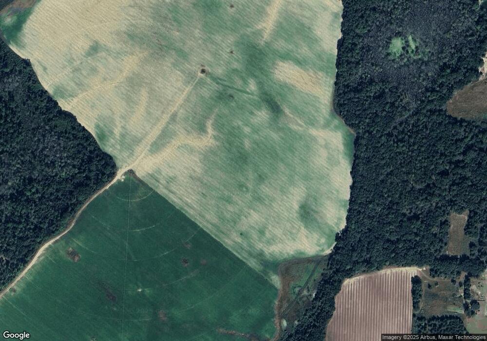 6443 Radney Rd, Damascus, GA 39841 - photo 1