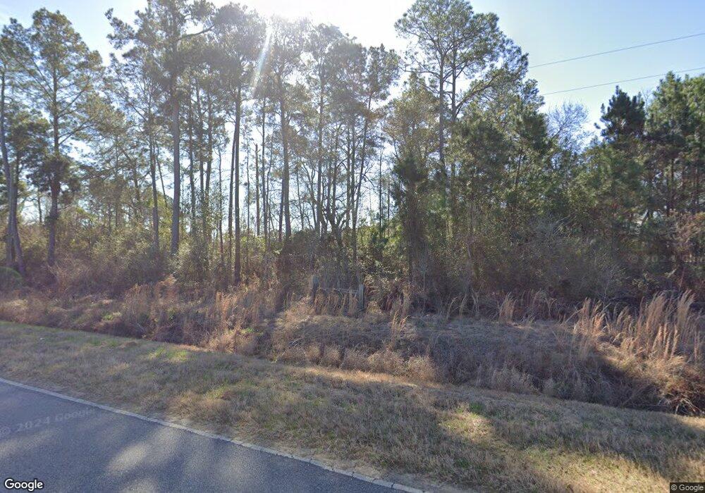 866 Zion Grove Church Rd, Meigs, GA 31765 - photo 1