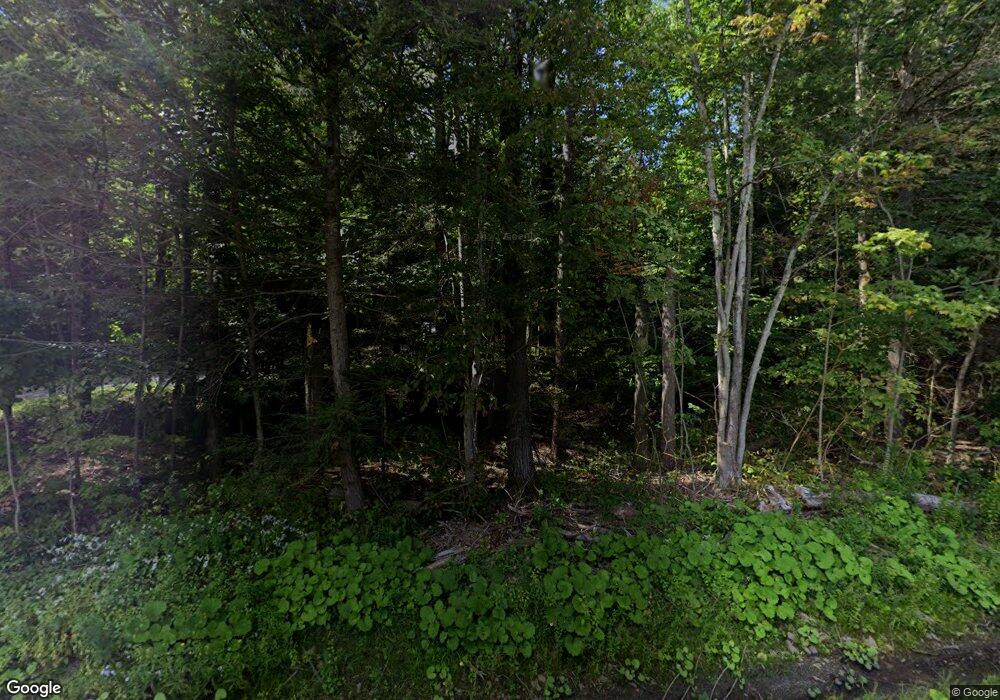 87 Ski Bowl Rd unit 2, Hunter, NY 12442 - photo 1