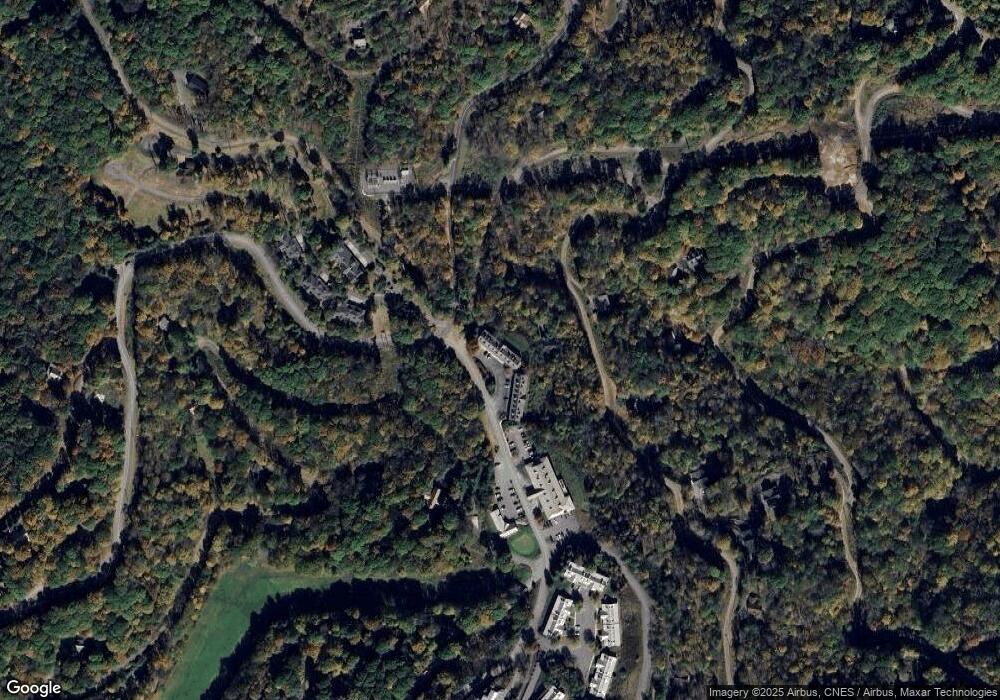 2541 Wolf Laurel Rd unit 207 & 208, Mars Hill, NC 28754 - photo 1