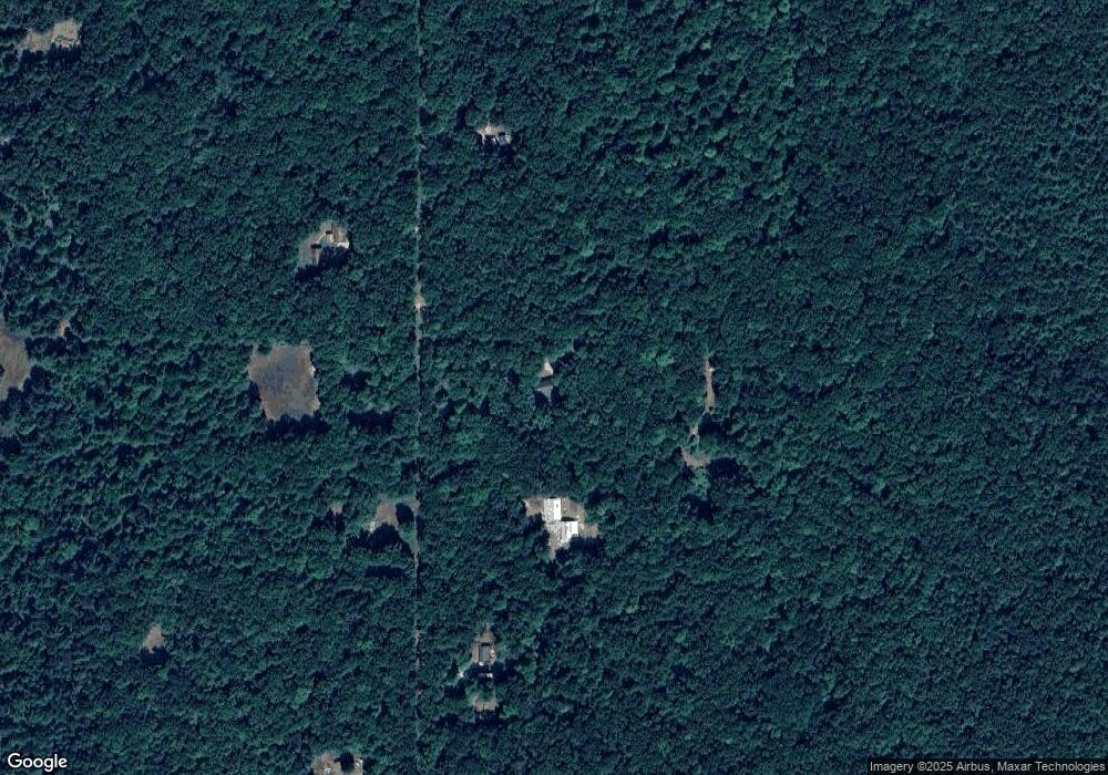 10932 N Cedar Crest Trail, Bitely, MI 49309 - photo 1