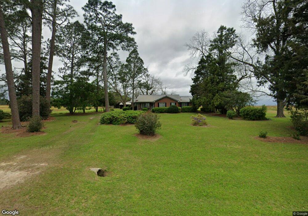 1333 Spence Rd, Pelham, GA 31779 - photo 1