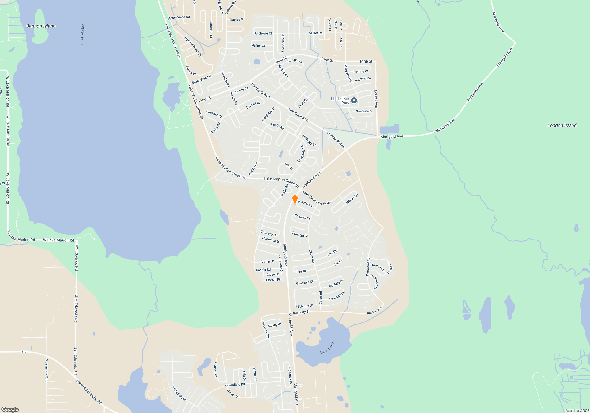 Open Map