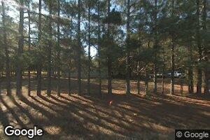1505 Trappers Run Dr, Wedgefield, SC 29168