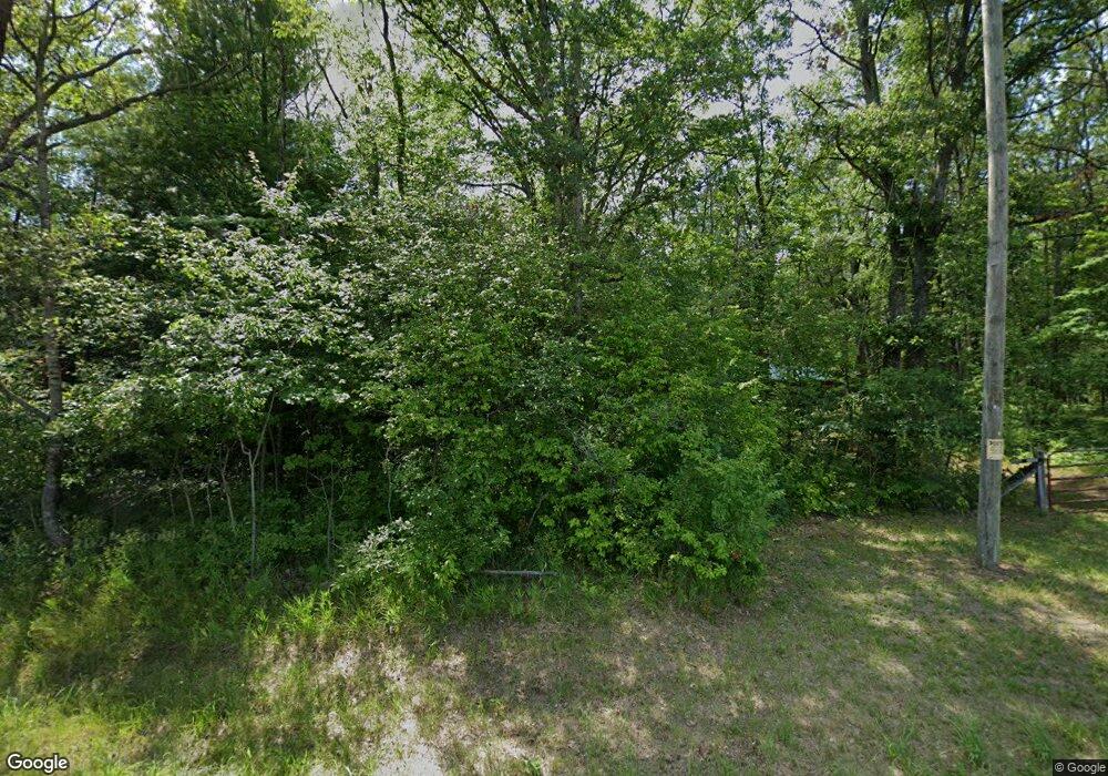 9889 N Bingham Ave, Bitely, MI 49309 - photo 1