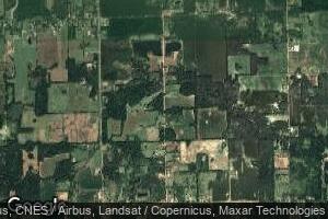 0 Gale Rd Unit 4080867, Morrice, MI 48857