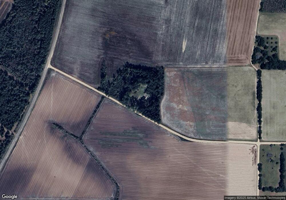 43 Thomas Winge Rd, Hazlehurst, GA 31539 - photo 1