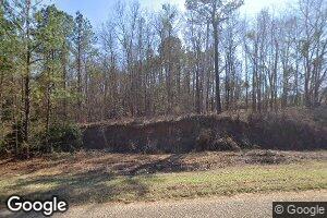 21 Bald Hill Rd, Richland, GA 31825