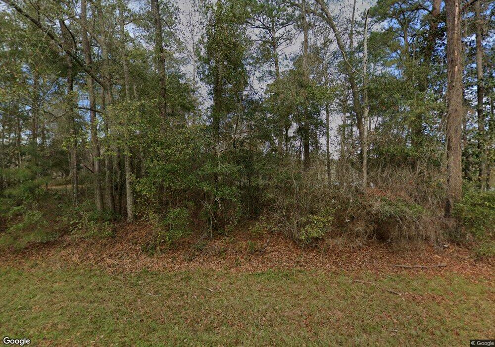 2050 Lower Hawthorne Trail, Cairo, GA 39828 - photo 1