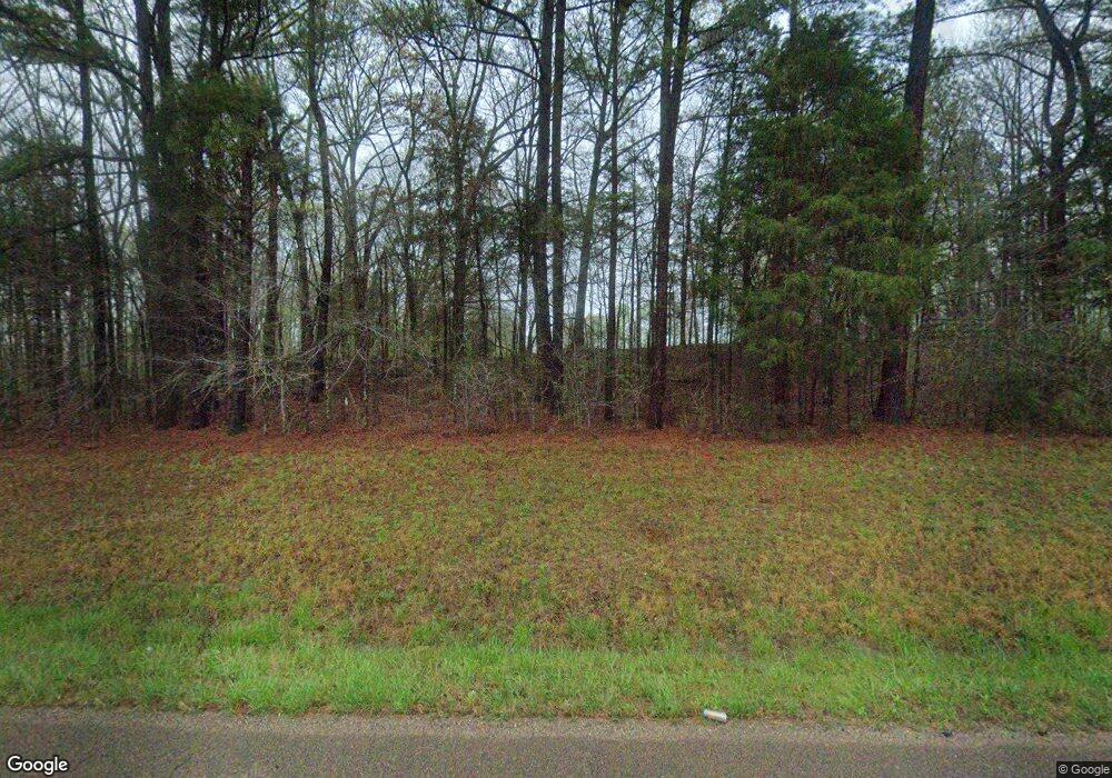 10495 Highway 641 S, Springville, TN 38256 - photo 1