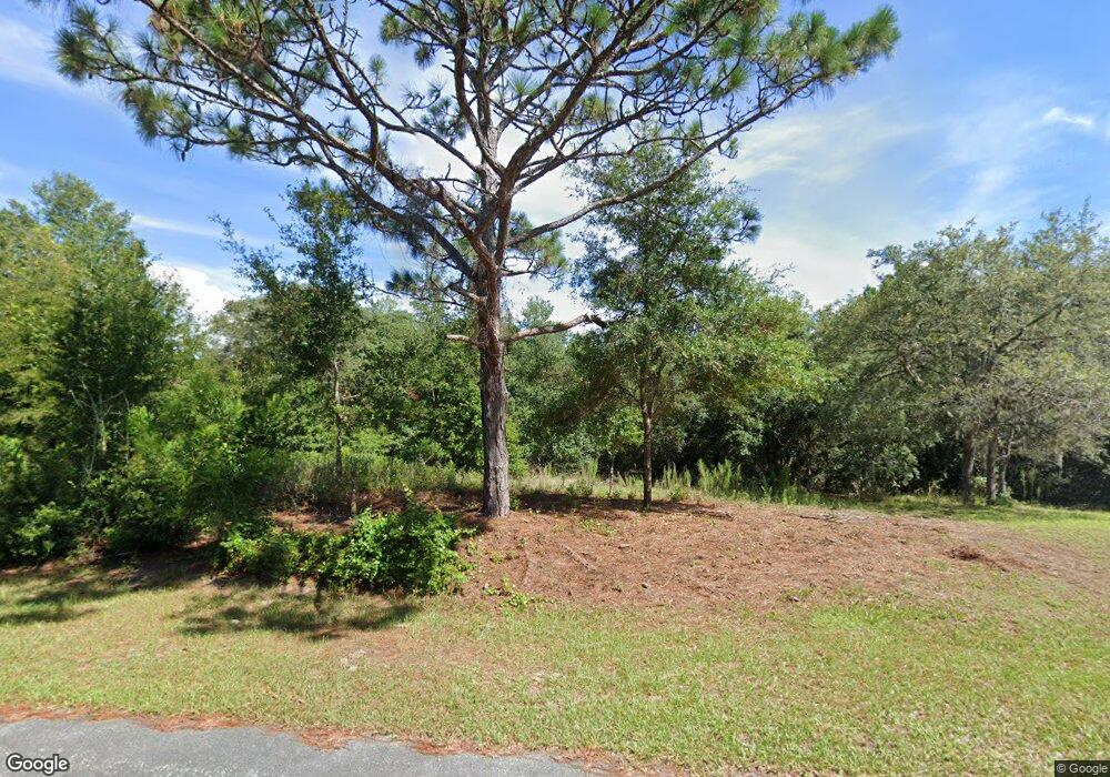 4101 N Ringwood Cir, Hernando, FL 34442 - photo 1