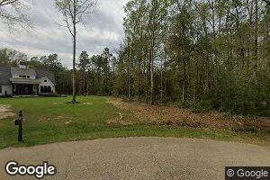 52265 Puls Ct, Independence, LA 70443