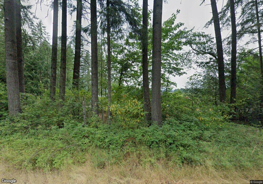 16509 Littlerock Rd SW, Rochester, WA 98579 - photo 1