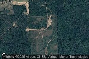709 Bama Clarke Rd, Chatom, AL 36518