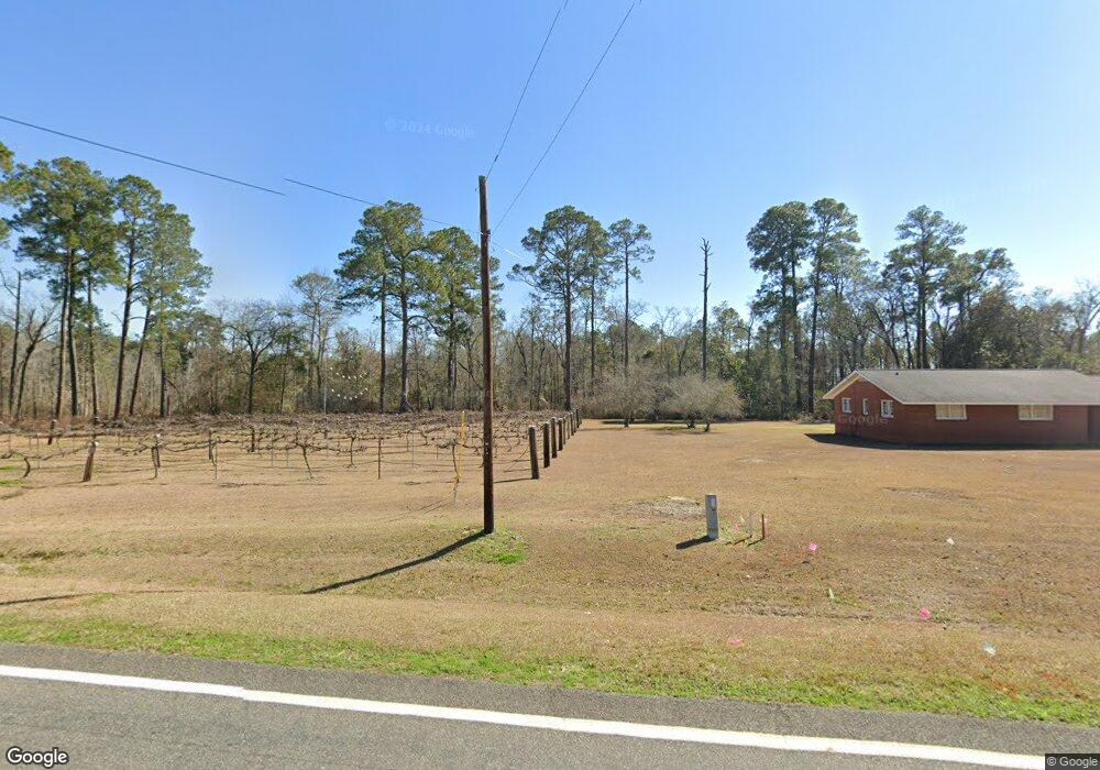 1488 Ga Highway 111 N, Meigs, GA 31765 - photo 1