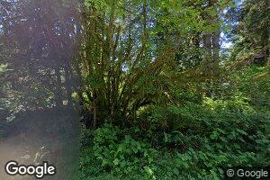 2065 Moonshine Park Rd, Logsden, OR 97357