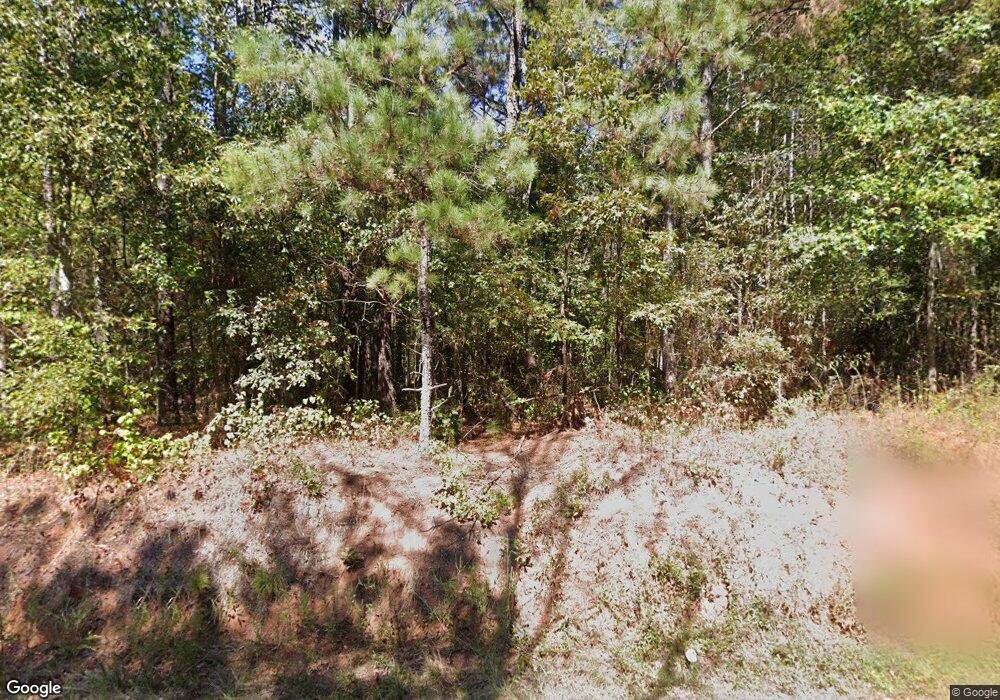 951 Tanyard Rd, Zebulon, GA 30295 - photo 1