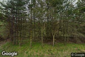 16351 Schroeder Rd, Brant, MI 48614