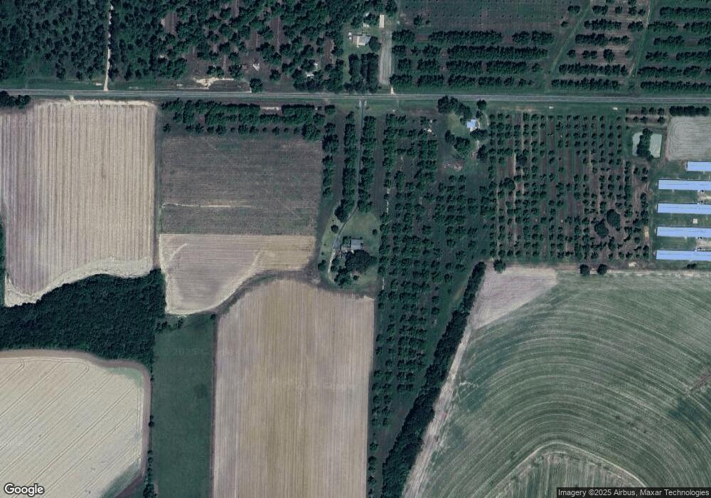 3898 Bee Line Rd, Coolidge, GA 31738 - photo 1