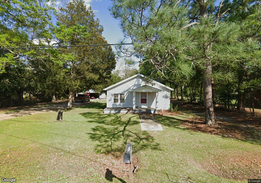450 Palmer St SW, Pelham, GA 31779 - photo 1