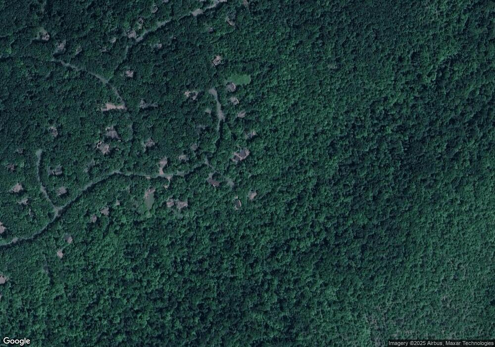 31 Grassy Overlook, Wintergreen Resort, VA 22967 - photo 1