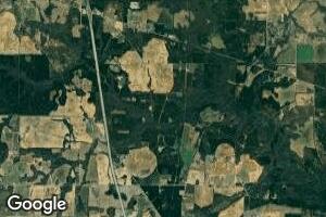 0 Henderson Springs Rd Unit 205658, Elko, GA 31025