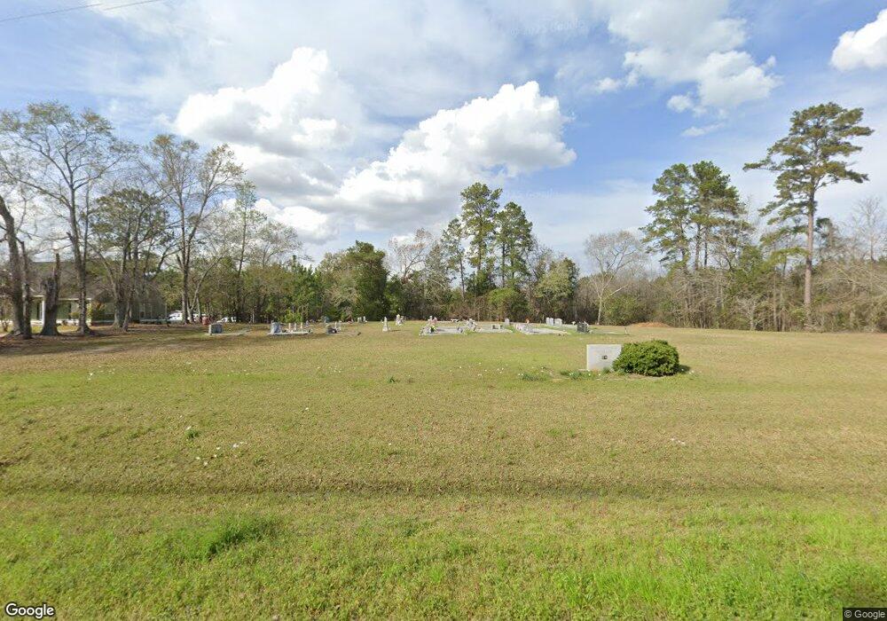 1451 Moultrie Lenox Rd, Lenox, GA 31637 - photo 1