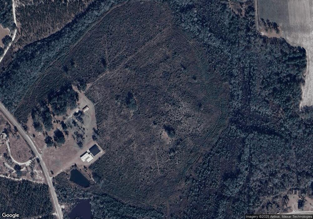 3711 High Bluff Rd, Hoboken, GA 31542 - photo 1