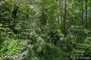 223 Upper Whetstone Rd, Harriman, TN 37748