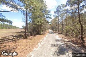 0 Copeland School Rd Unit 8103071, Rhine, GA 31077