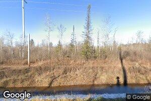 5350 Turtle Rd, Turner, MI 48765