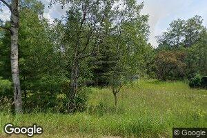 5424 S Kings Hwy, Chase, MI 49623