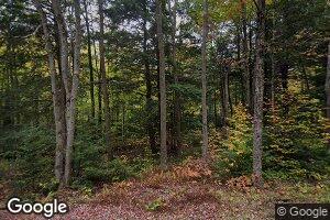 561 Dorman Rd, Chester, VT 05143