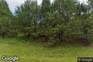 535 Mount Olive Rd, Big Clifty, KY 42712