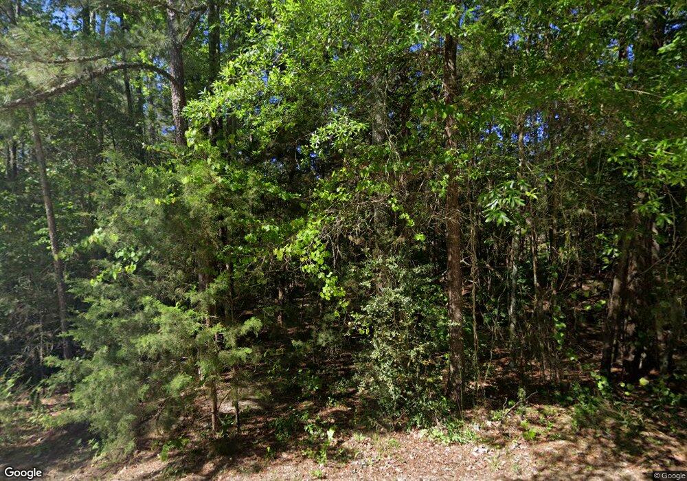 150 Eagle Chase Ct, Chapin, SC 29036 - photo 1