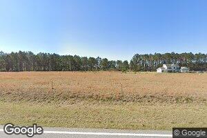 18115 Old River Rd, Garfield, GA 30425