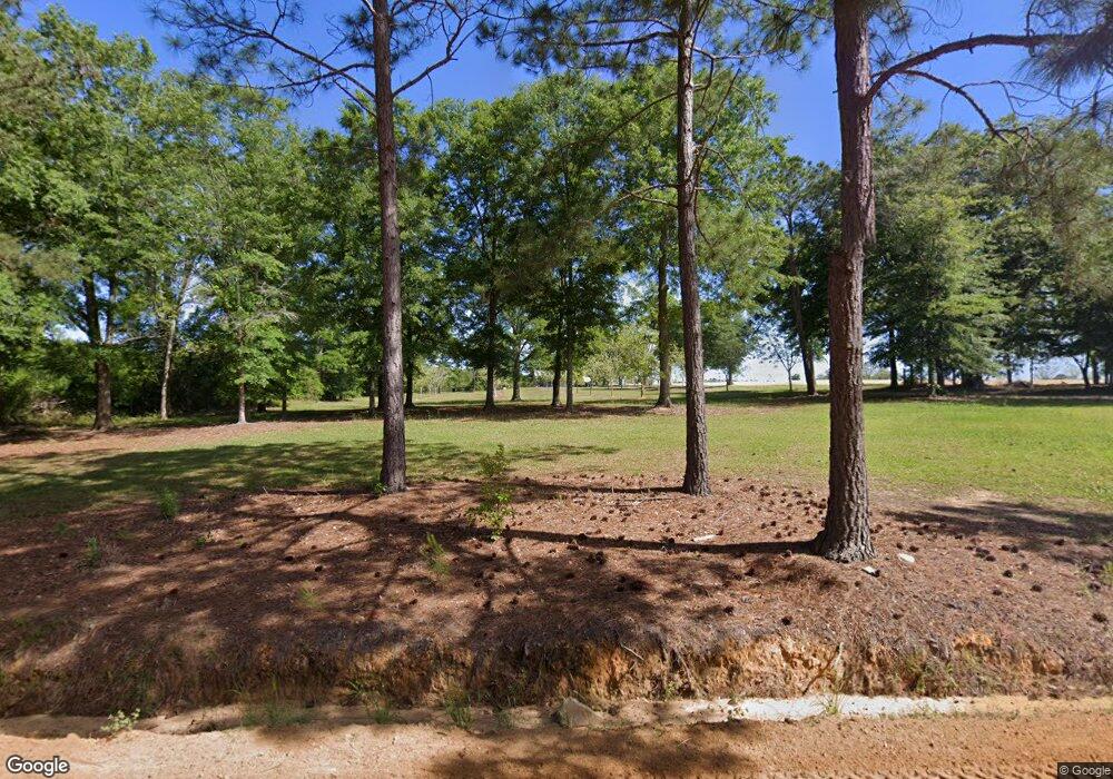 400 Toney Brothers Rd, Doerun, GA 31744 - photo 1