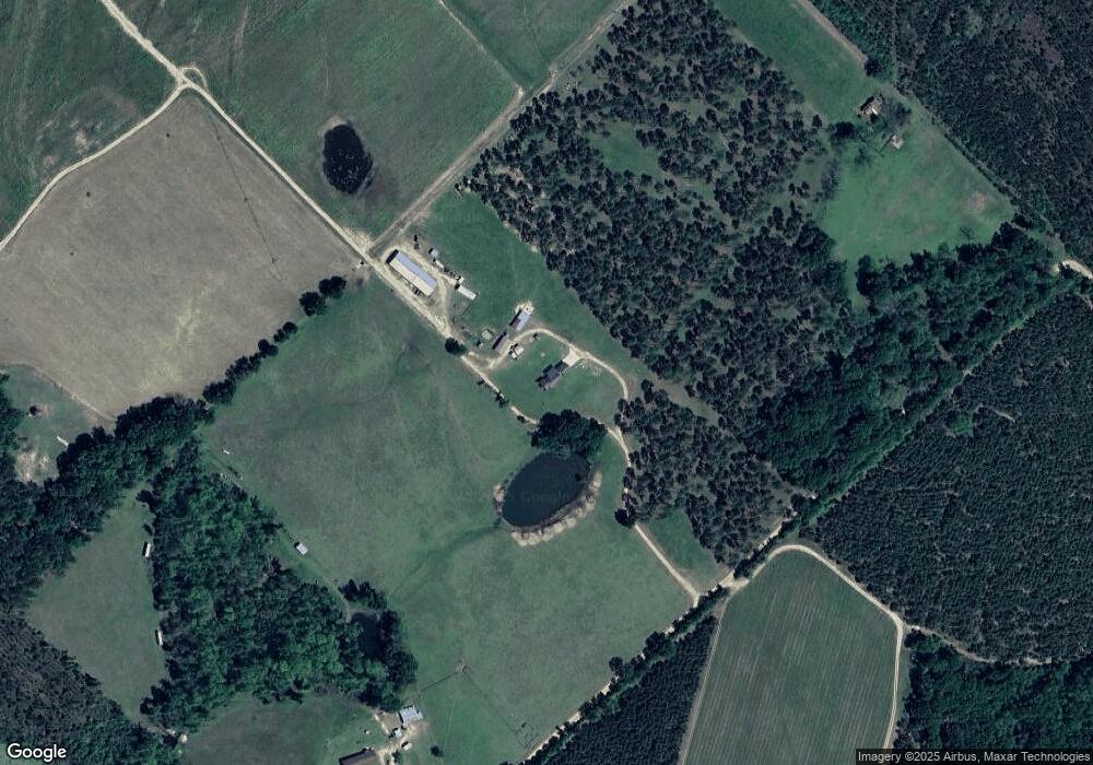 197 Frosty Boone Ln, Rhine, GA 31077 - photo 1