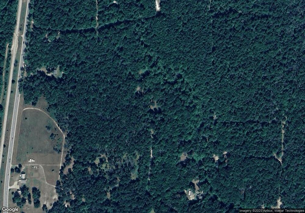 13190 Bucktrail N, Bitely, MI 49309 - photo 1