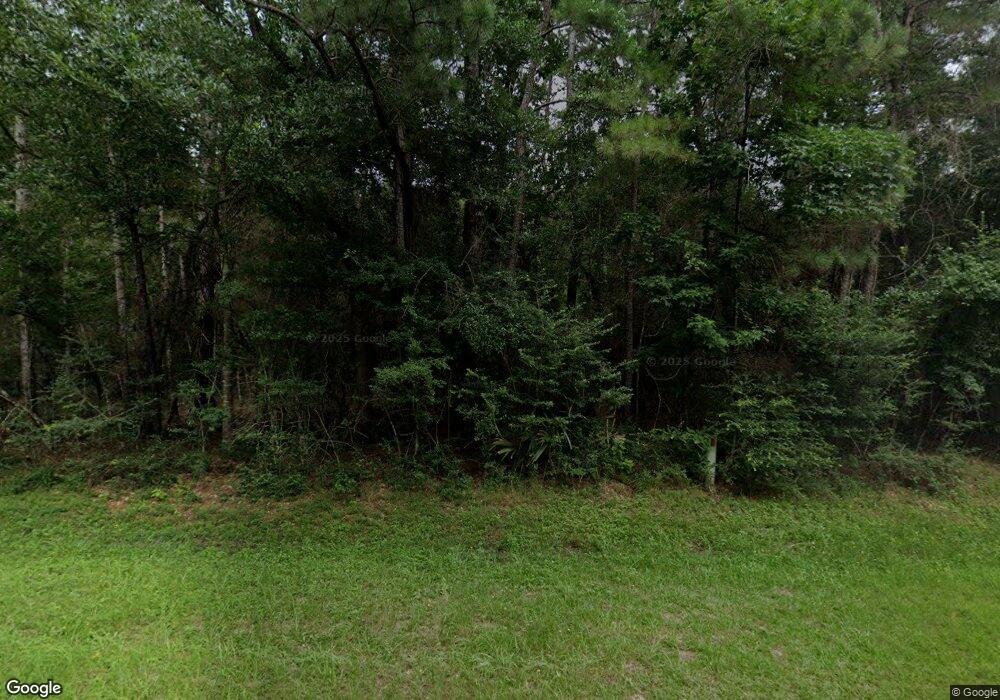 31210 Chelsie Place, Magnolia, TX 77354 - photo 1