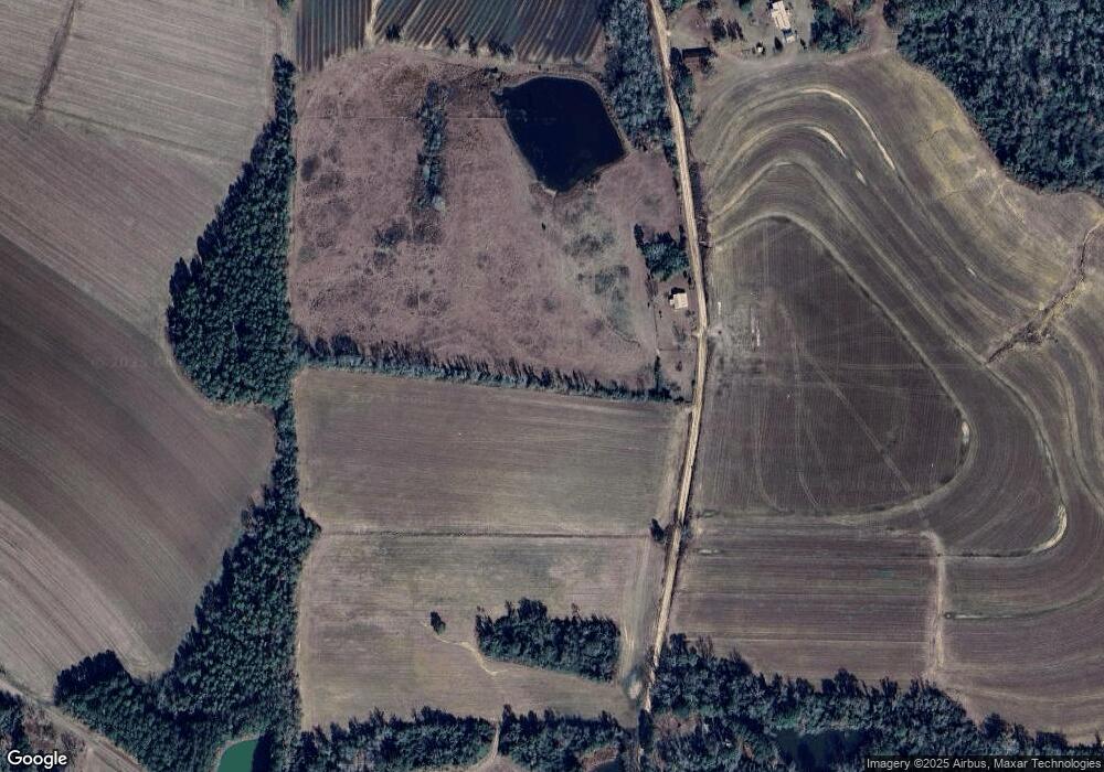 1551 Union Hill Rd, Pelham, GA 31779 - photo 1